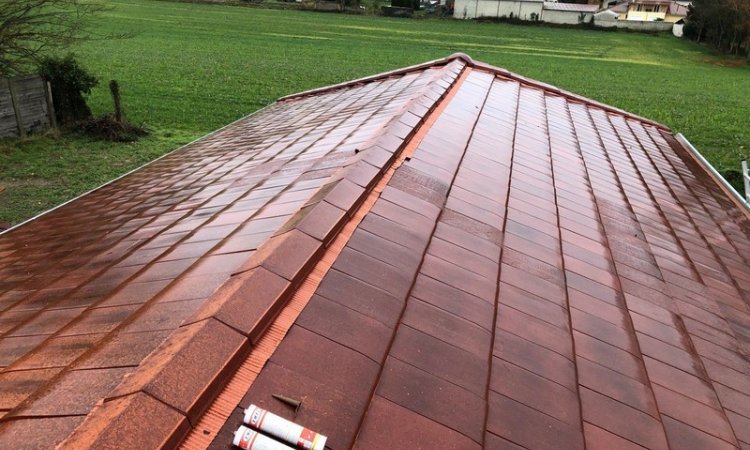 Sadin Toiture Bois Rénovation de couverture Vaulx-Milieu